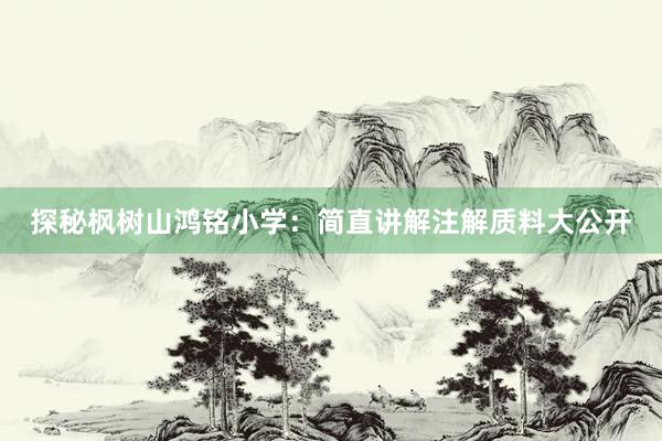 探秘枫树山鸿铭小学：简直讲解注解质料大公开
